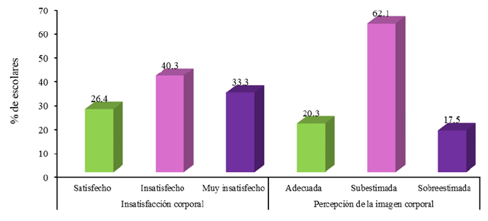 Figura 1. Distribución porcentual de la insatisfacción corporal y percepción de la imagen corporal.