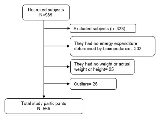 Figure 1. Flowchart of participant selection.